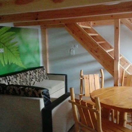 Apartamenty Gorskie Stronie Śląskie 외부 사진