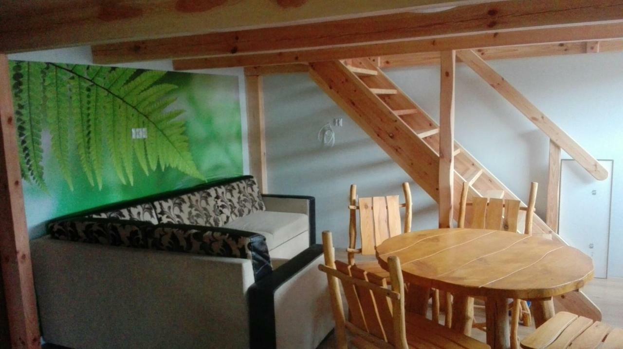 Apartamenty Gorskie Stronie Śląskie 외부 사진